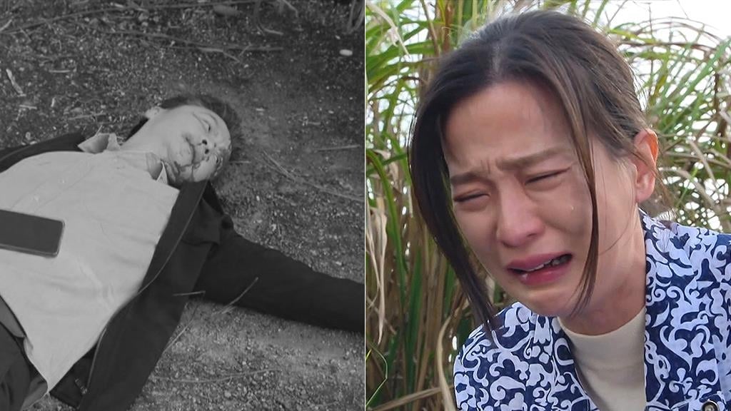 《好運來》楚宣再飆演技!見夫被「致命痛毆」淚崩 網怒:克帆怎麼下得了手?