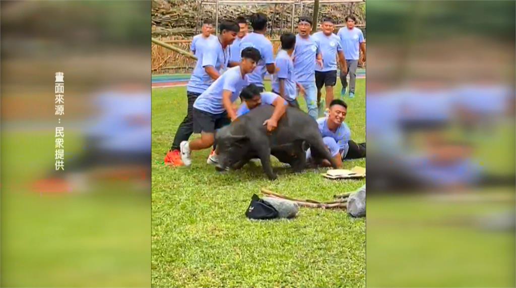 高雄「黑米祭」狩獵活動部分行為遭指殘忍　原民會：沒虐待動物
