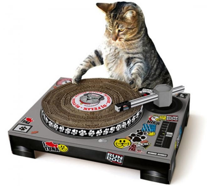 音盤貓抓版 貓咪變DJ