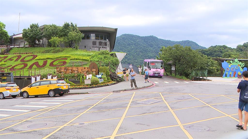 夏日新玩法！　搭貓空纜車上山泡茶、吃冰