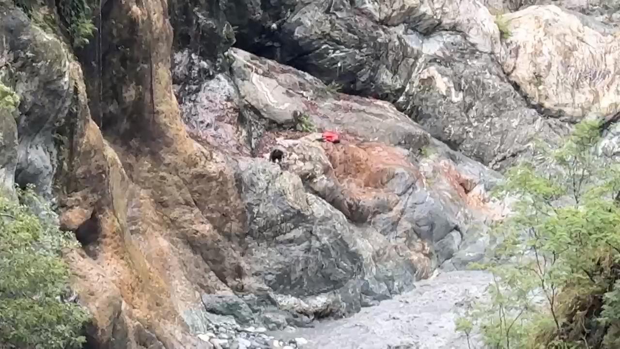 遊客「上山撿石」遇豪雨受困　消防隊救援卡關遞物資救急