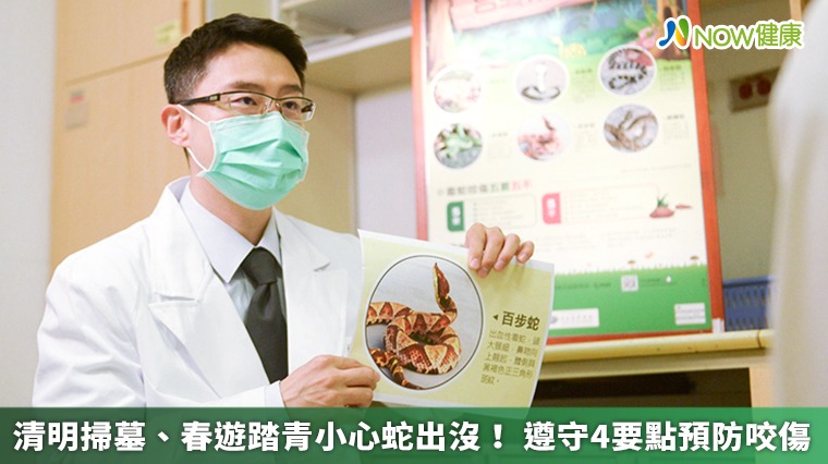 清明掃墓、春遊踏青小心蛇出沒！遵守4要點預防咬傷