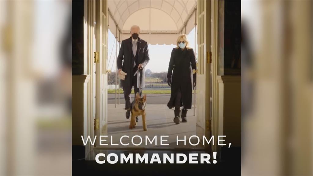 拜登家庭喜迎新成員　第一狗狗「司令」入主白宮