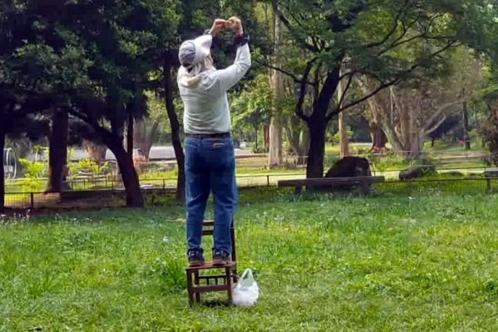 餵食引誘台灣藍鵲來拍攝 愛鳥人士撻伐