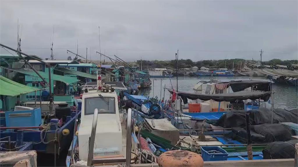 鰻苗捕撈季！鰻苗集中宜蘭　烏石港突湧入140艘外地船釀塞港