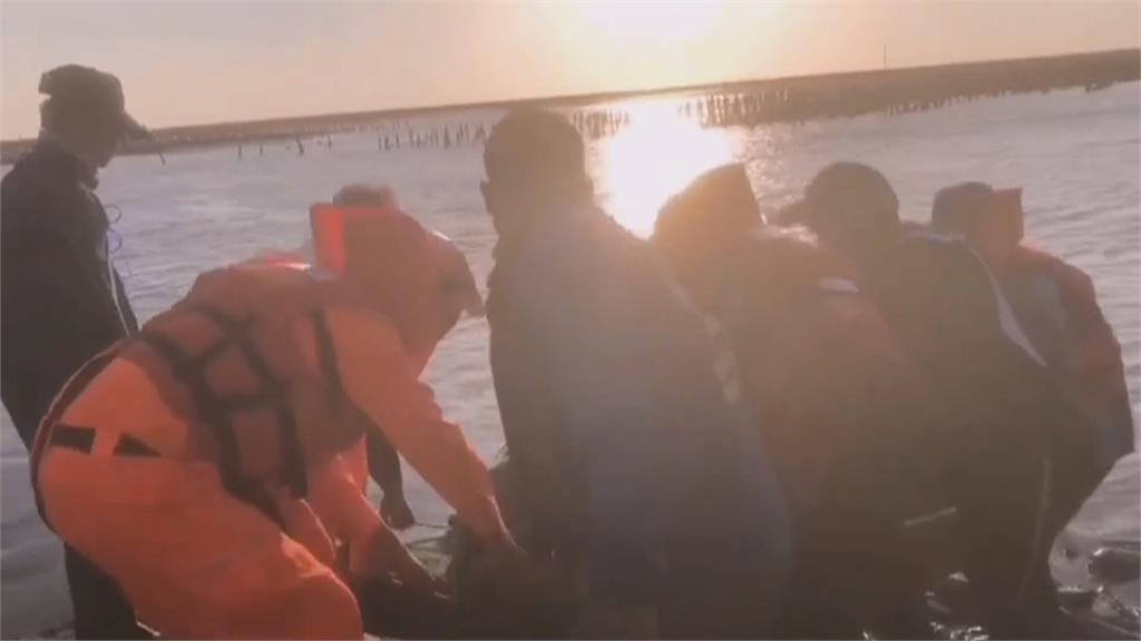 「糙齒海豚」擱淺彰化海邊　岸巡人員急搶救