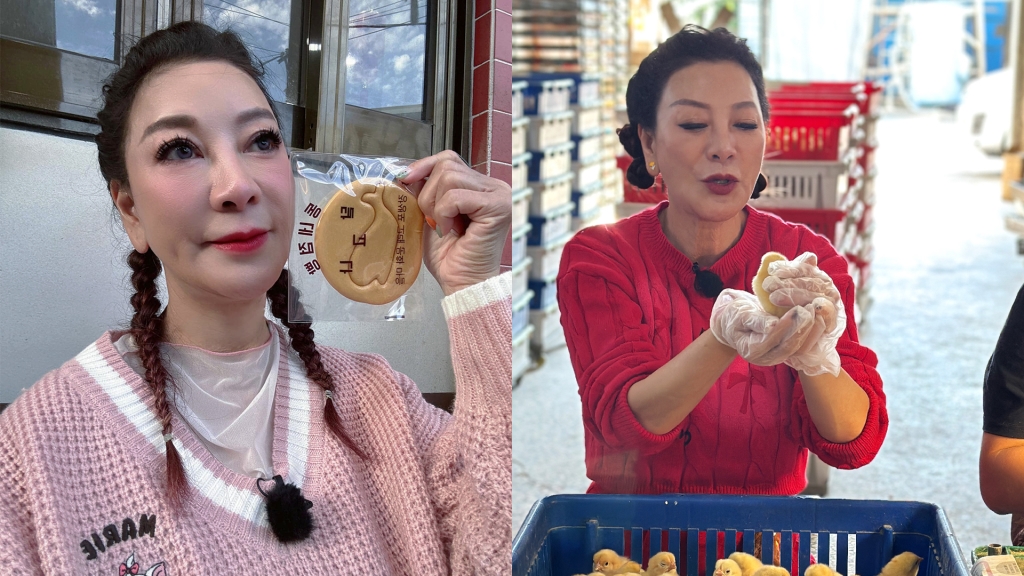 楊繡惠挑戰新工作!全靠一人「看屁股」賺錢 驚人薪資曝光