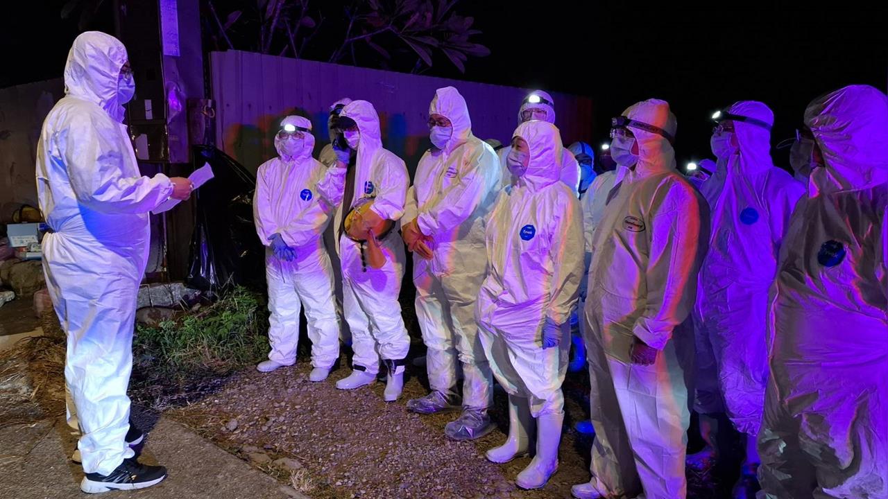 快新聞／8年來首見！桃園驚傳爆發H5N1　急撲殺2500隻珍珠雞
