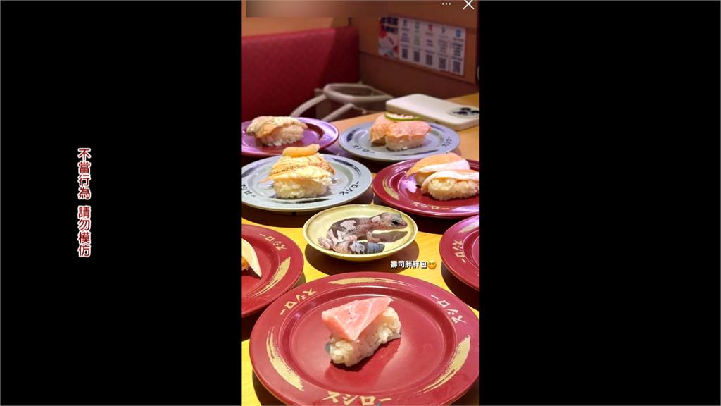 噁！元智女大生帶寵物「守宮」放醬料盤　壽司郎發聲明擬提告