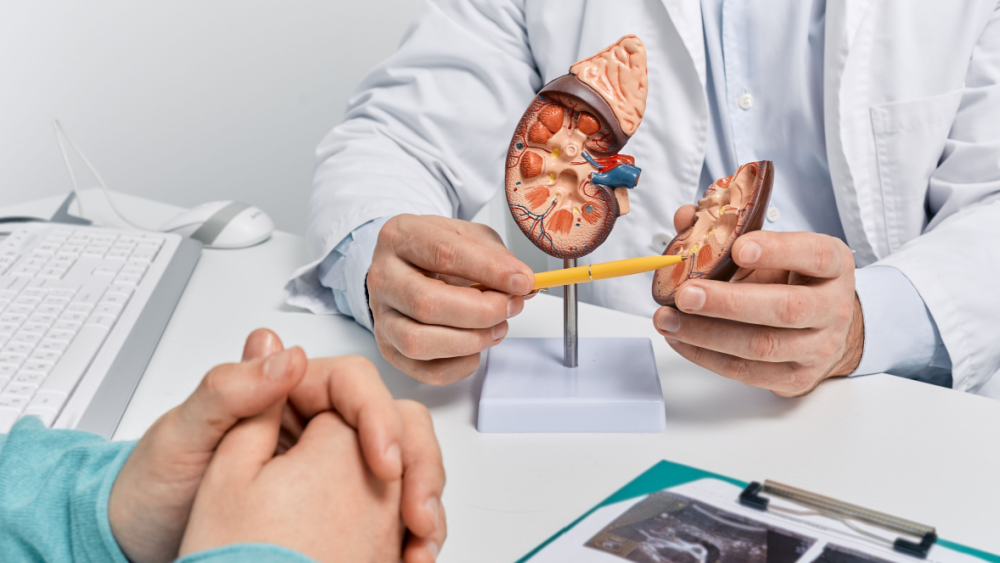 吃高蛋白不一定健康？ 別埋頭照抄網紅菜單，亂補恐讓「腎臟過勞」