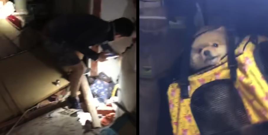 快新聞／台南楠西區平房倒塌！母護嬰受傷「衣服染血」　2大1小1狗順利脫困