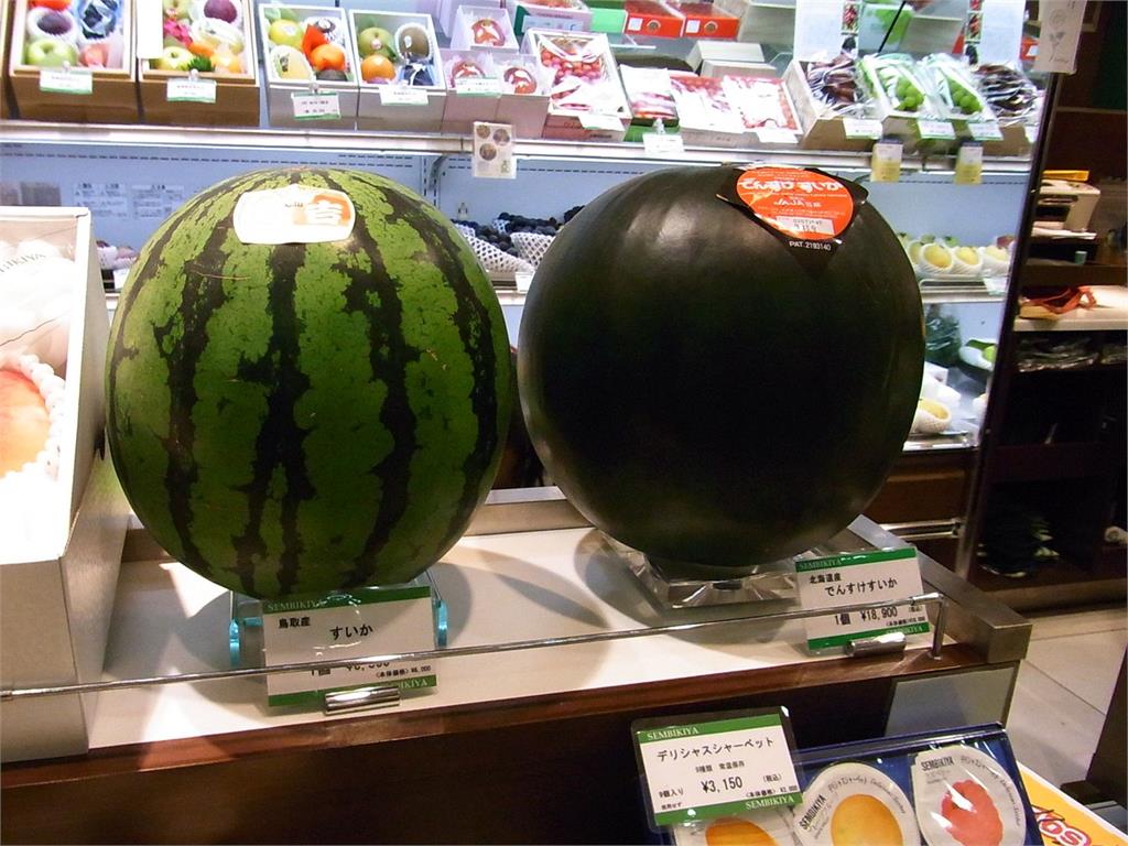 1顆西瓜要價14萬台幣！　北海道稀有「黑皮西瓜」拍出天價