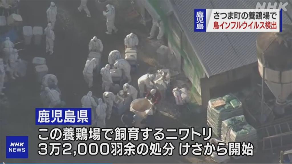 日本禽流感蔓延第15縣 鹿兒島縣養雞場淪陷