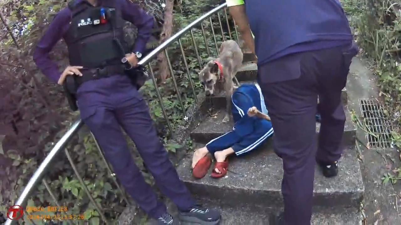 救命忠犬! 基隆婦人疑體力不支倒地 愛犬狂吠求救