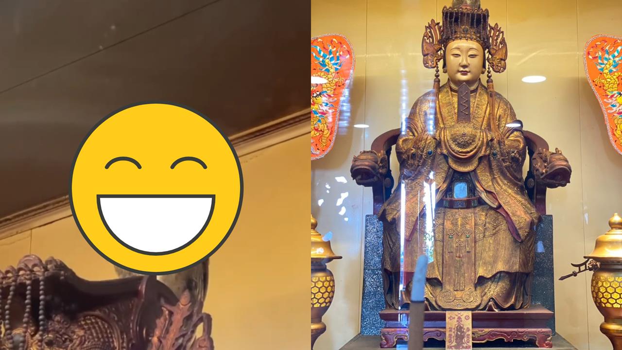 廟宇驚見「神蹟」靈動給眼神!貓頭鷹「站在媽祖頭上」歪頭畫面曝…苗栗勸化堂回應了