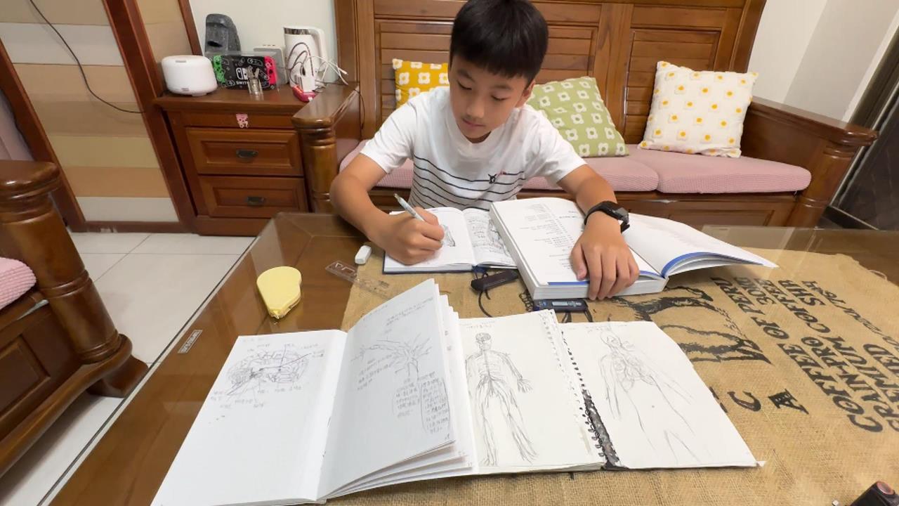 小六生解剖圖「肌肉紋理」栩栩如生　盼未來當醫生
