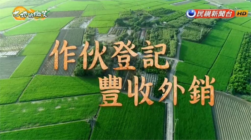 讓台灣好味道揚名海外！農委會推動「甘藍種植登記」調節產銷｜土地的微笑｜EP18