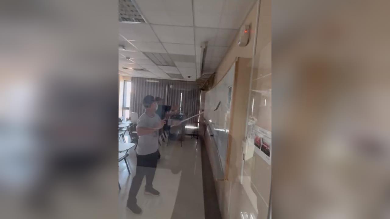 文化大學也有猴子入侵! 教室亂竄 保全捉捕後放生