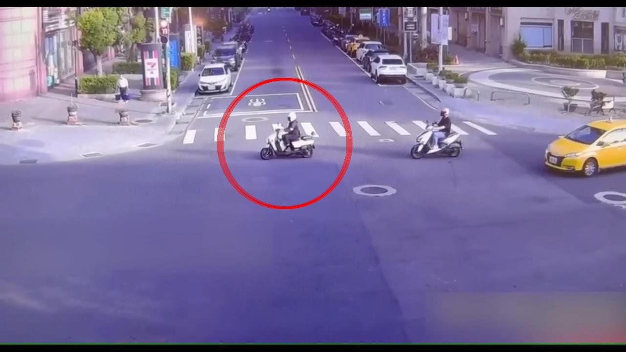 騎士疑被「BB彈」襲擊! 警一查虛驚一場 是樟樹果實!