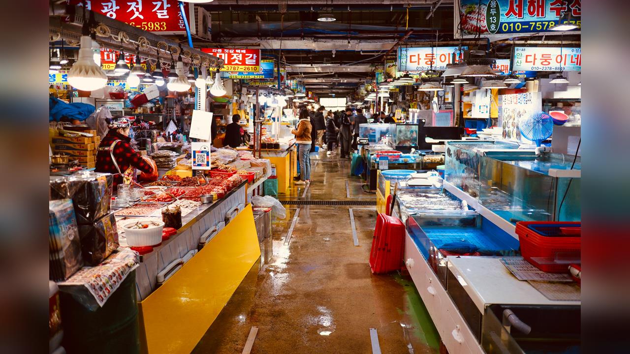 赴韓旅遊吃1海鮮全家送醫狂噴4萬看病！引一票苦主哀號：我也狂吐暴拉