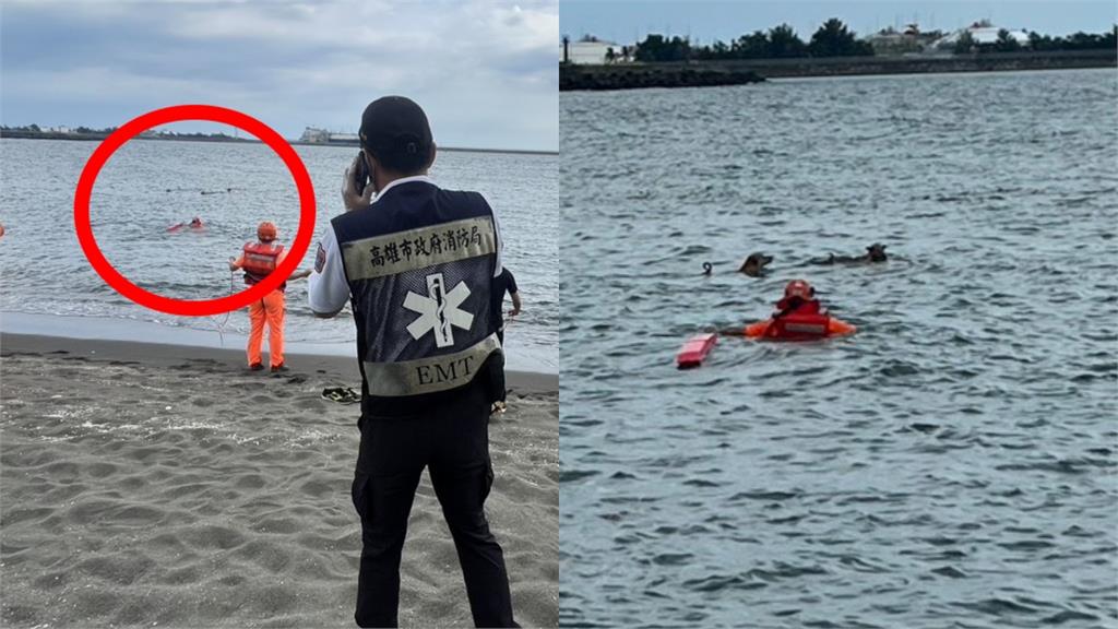 流浪狗進化成「鯊人魔」!高雄76歲老翁游泳遭狗咬溺斃 目擊者全說了