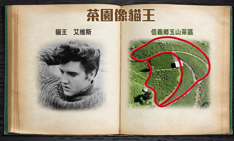 巧合！？南投茶園地貌上帝視角曝光　竟撞臉傳奇歌手「貓王」