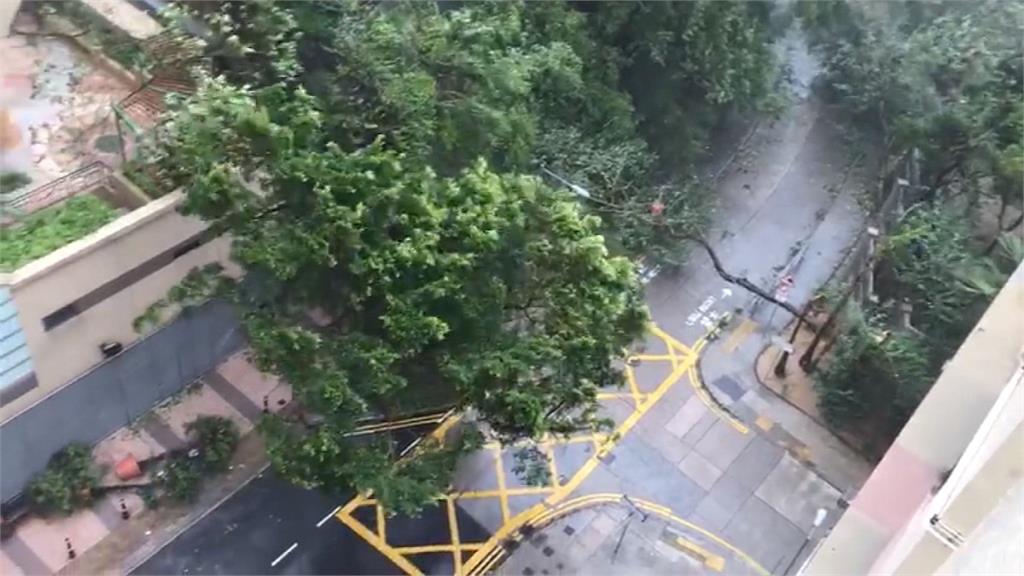 「山竹」狂風橫掃香港 造成至少十多傷