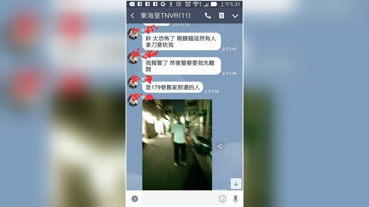 驚魂！東海商圈餵野貓 女竟遭持刀追砍