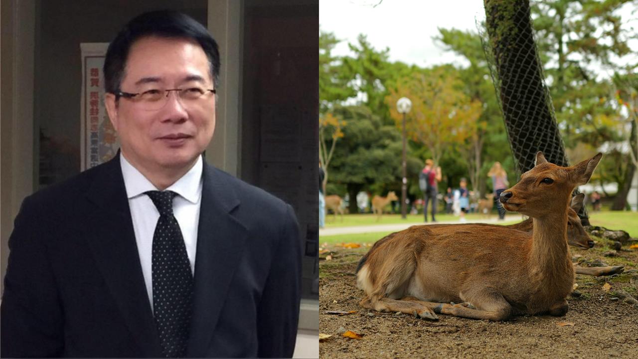 蔡正元嗆「中國人不來奈良鹿快餓死」!網神回「這16字」有夠酸