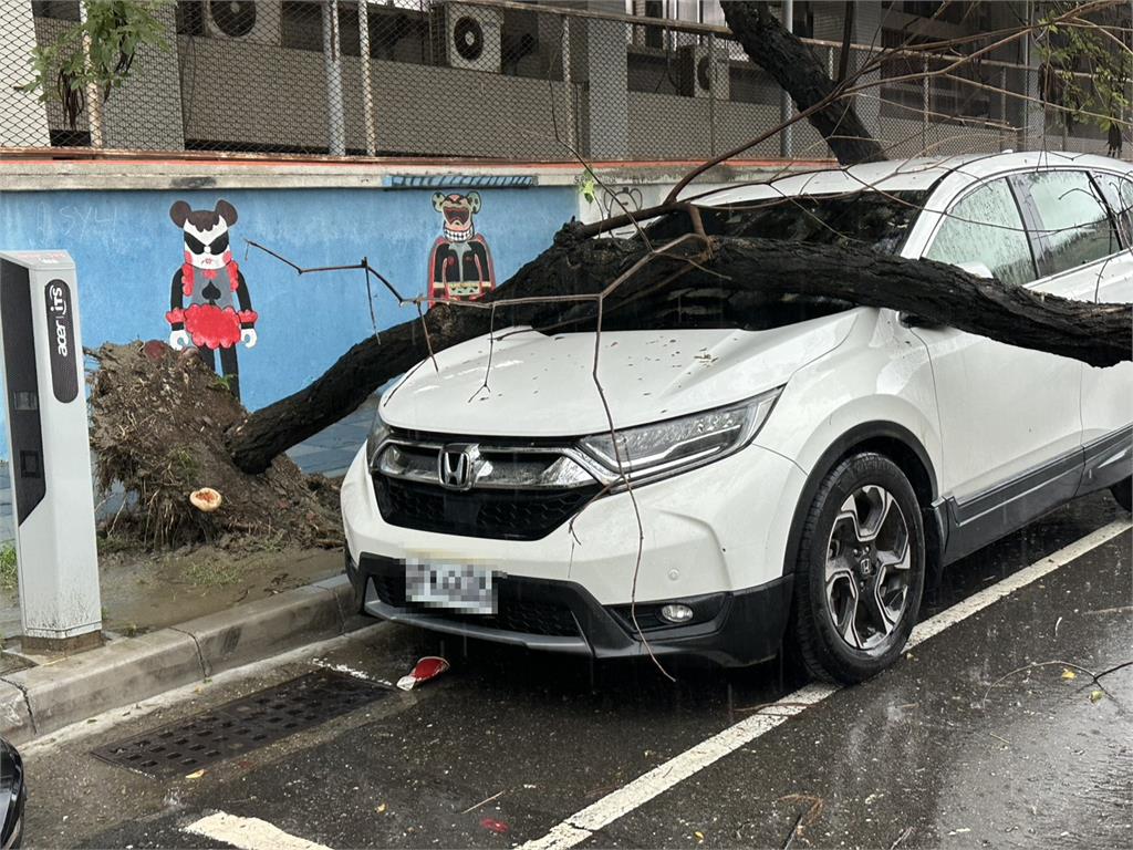快新聞／雨彈襲！台南中西區路樹倒塌　路邊自小客車慘遭重壓