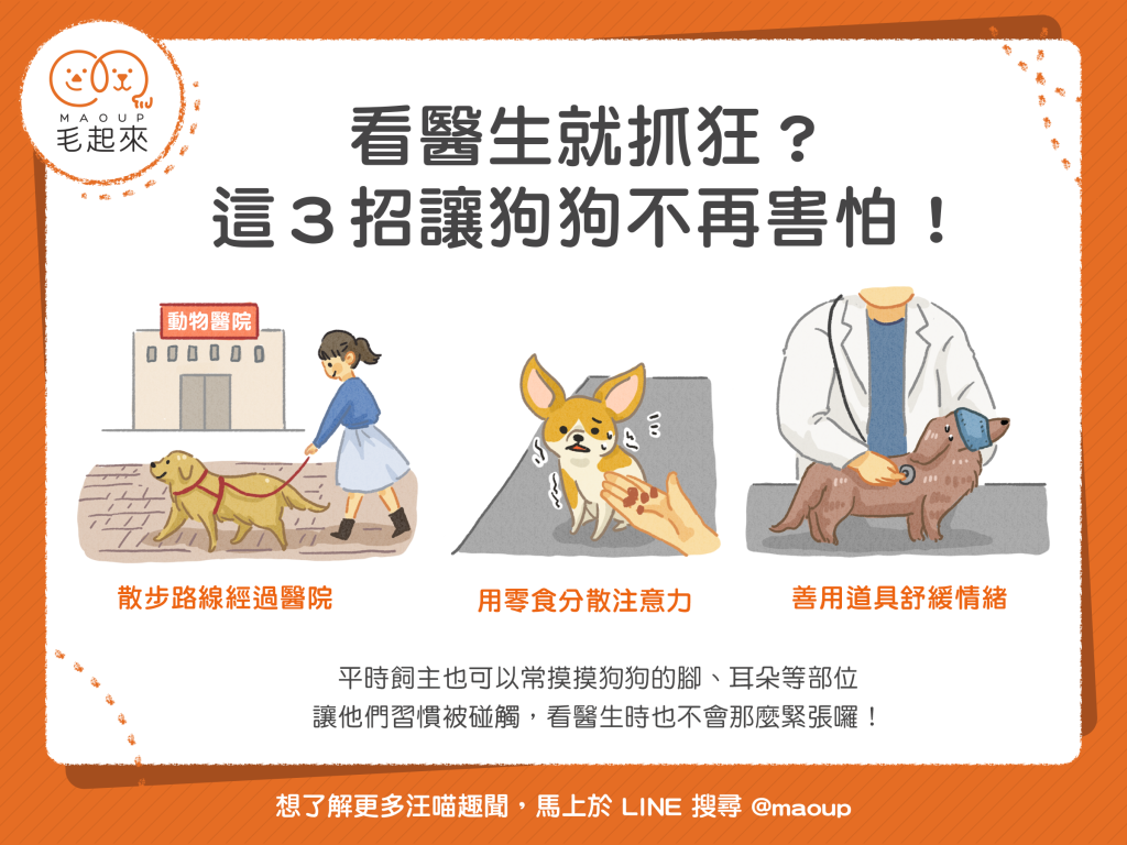 【汪喵訓練術】看醫生就抓狂？這3招讓狗狗不再害怕！