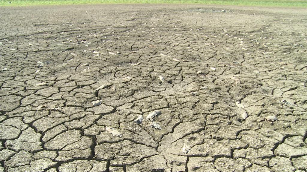 罕見無颱風登陸、降雨量少！「56年最慘現況」找水、節水總動員