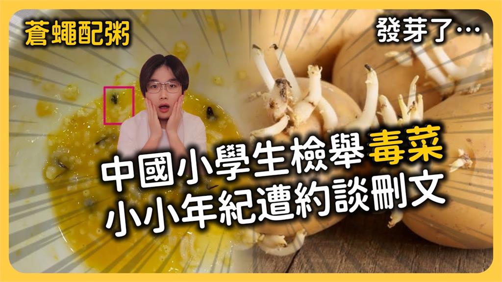學餐吃到蒼蠅！中國小學生拍片揭弊反遭「思想教育」　台網：長大敢揭發黨