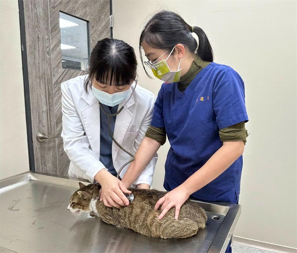 桃園表彰獸醫師辛勞付出　盼共築寵物友善環境