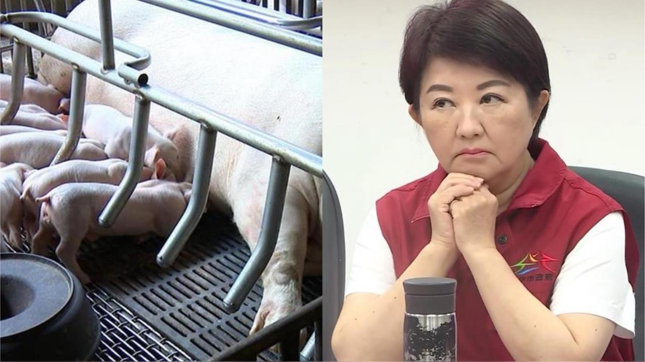 快新聞/誰下令的?中市府「偷偷清消」害無法採樣 台中綠議員嗆:疫情豬隊友