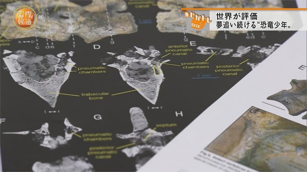 暴龍身上長羽毛？日本人研究成果獲肯定