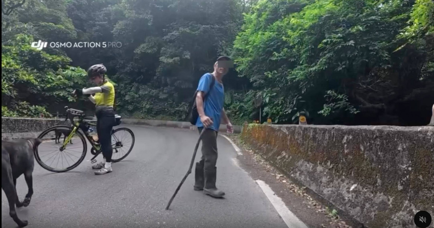 5隻狗未牽繩衝車道!女騎士急閃重摔 飼主沒道歉嗆:看到狗本來就該閃