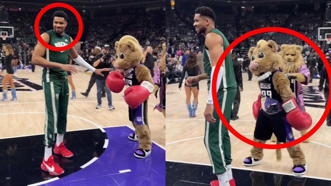 NBA(影)/下次別皮了!字母哥踢館國王「吉祥物戴拳擊手套挑釁」結果遭爆砍37分