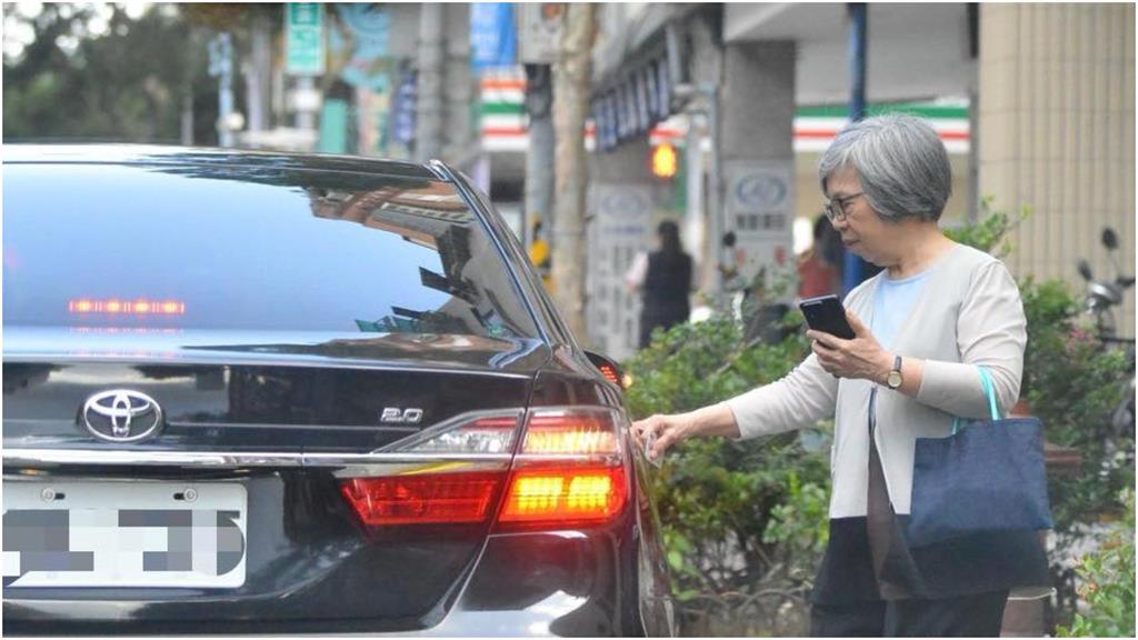 不只李俊俋!張斯綱爆監委蘇麗瓊疑搭公務車「看牙」 監院:6/2起停止個人使用