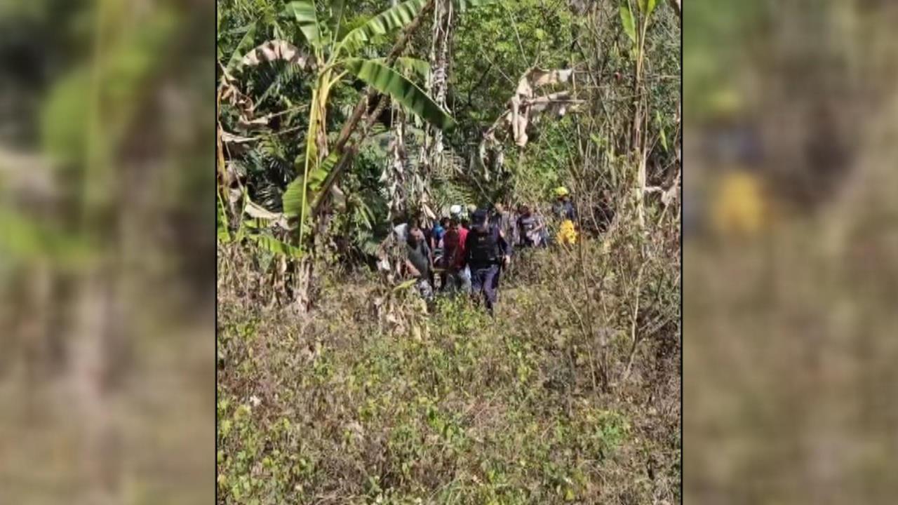 初四驚魂! 阿里山貨車"連人帶車"墜谷 女駕駛一度受困