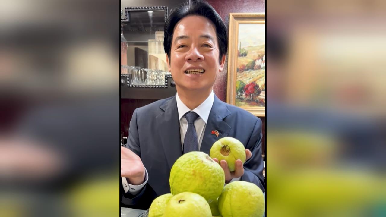 「紅心芭樂」看出台史好邦誼　賴清德IG曬影片讚農技團成果