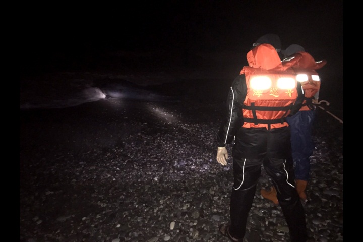 四米抹香鯨擱淺死亡 大浪捲走又打上岸