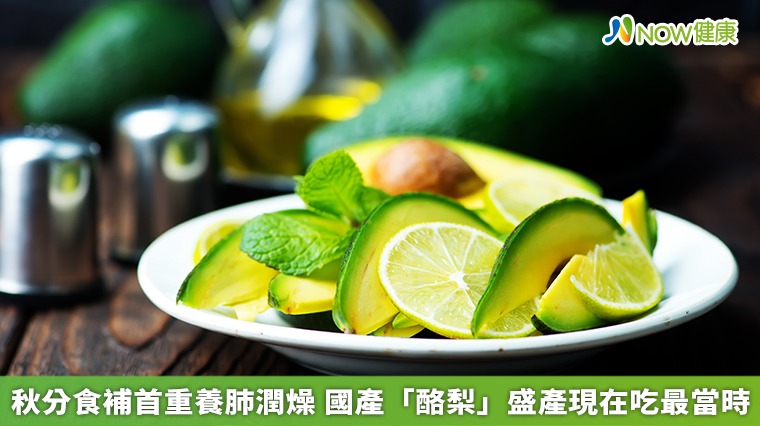 秋分食補首重養肺潤燥　國產「酪梨」盛產現在吃最當時