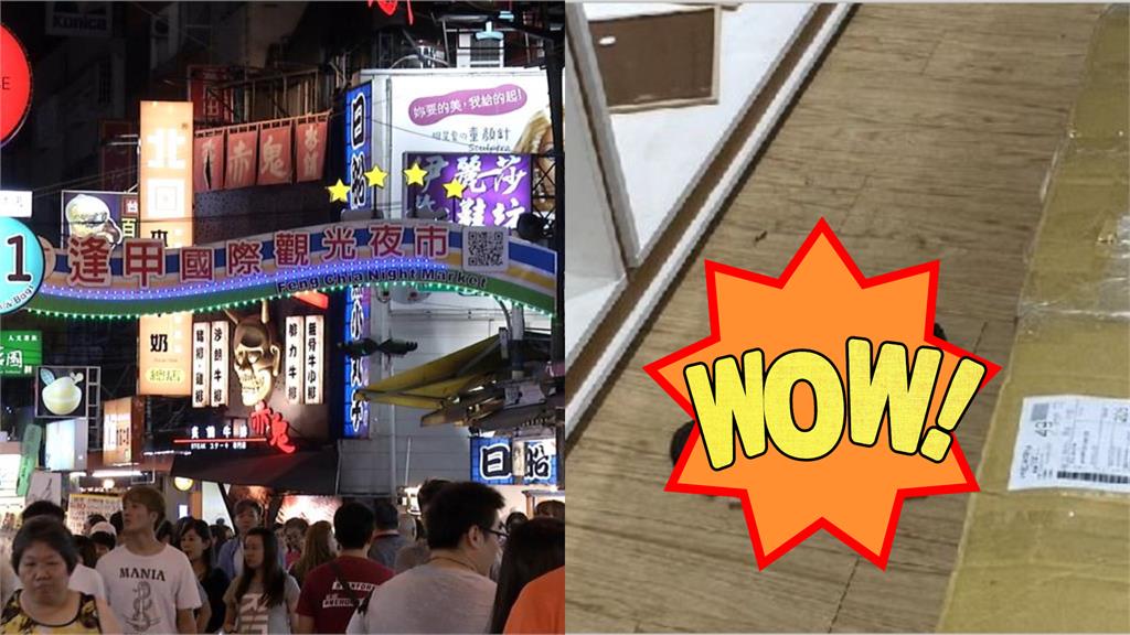 眼鏡蛇出沒逢甲夜市!店家關門「熬夜抗戰12小時」靠1神物終於抓到
