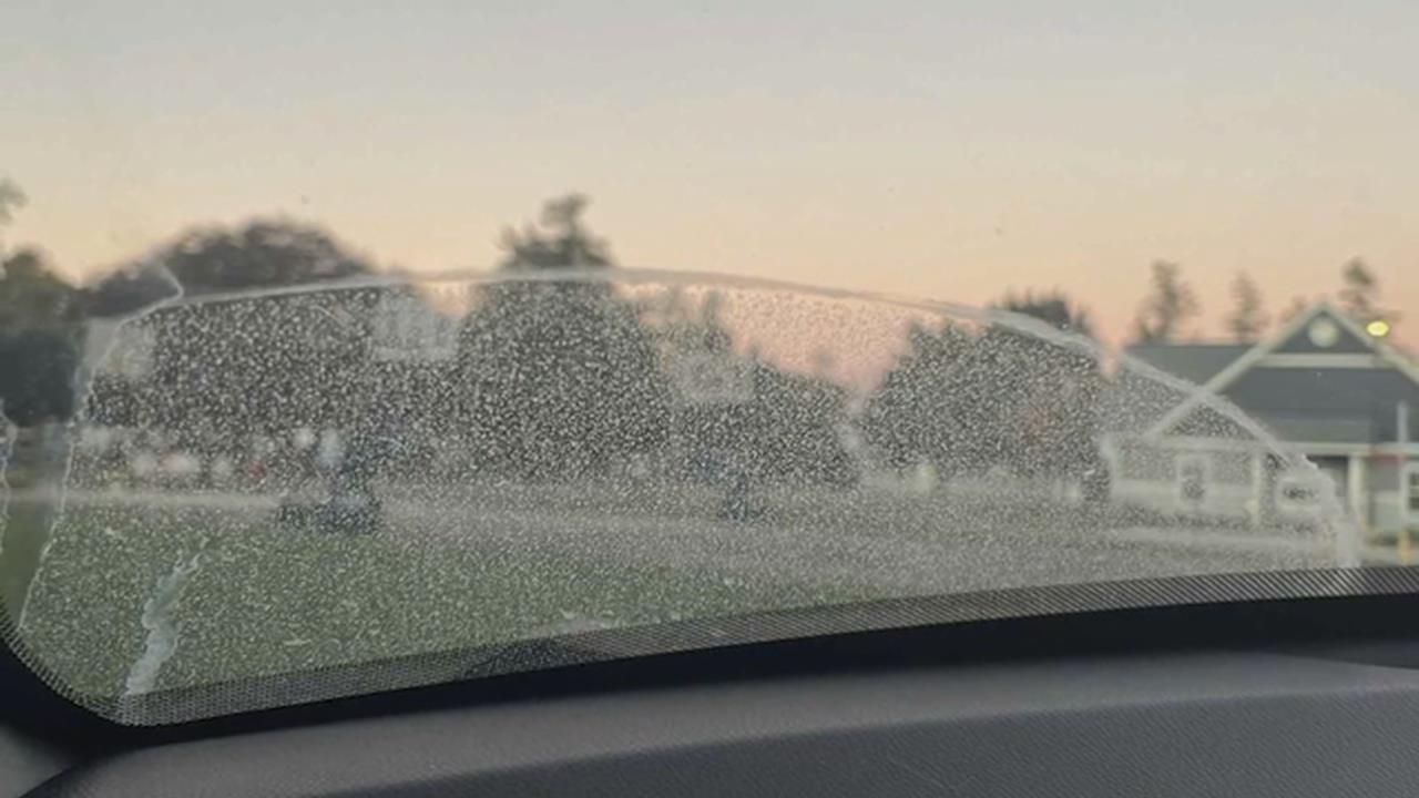 美國馬里蘭州現「謎樣怪灰」　碰水變乳白色　居民憂傷身