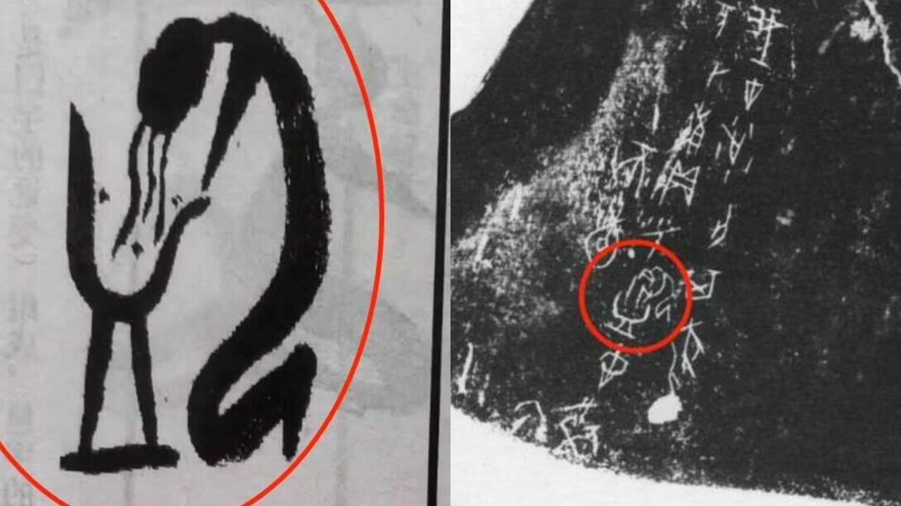 甲骨文「像個人在洗頭」是什麼字?專家揭正解「行家網友全翻車!」