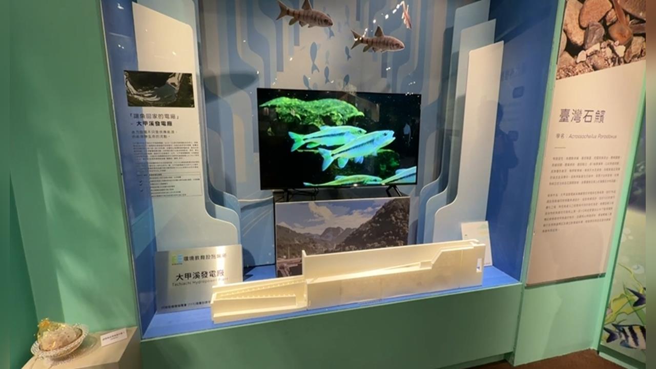 台電攜手科博館推"生態特展" 展出電力場域10明星物種