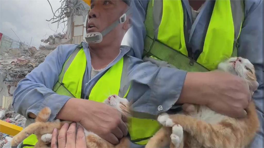 康老師貓咪救援「第一視角」曝光　救難員被咬爆血仍柔聲安撫：沒事了