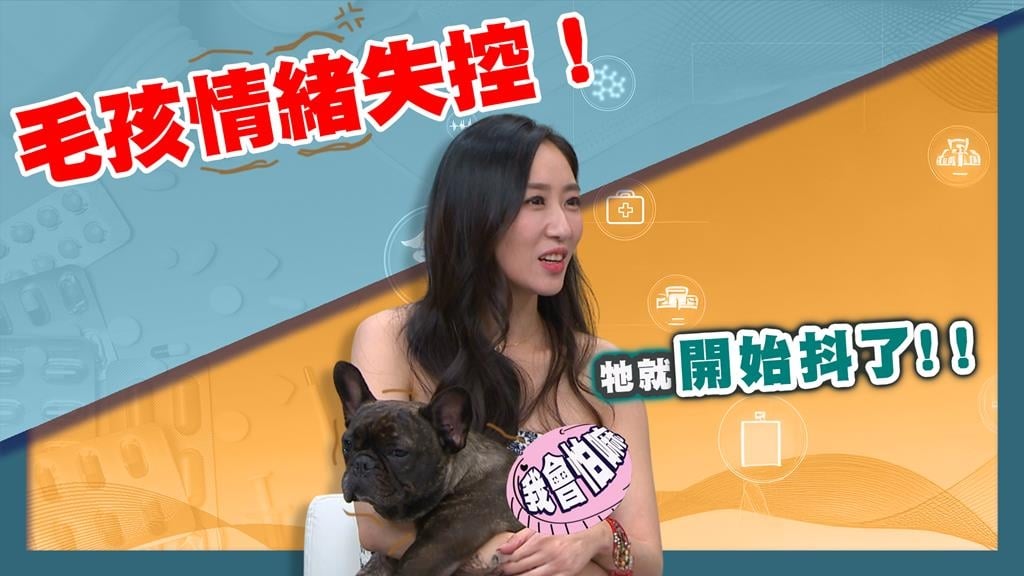 蔡允潔《醫學大聯盟》揭毛小孩異常行為!獸醫:分離焦慮因「這事」!