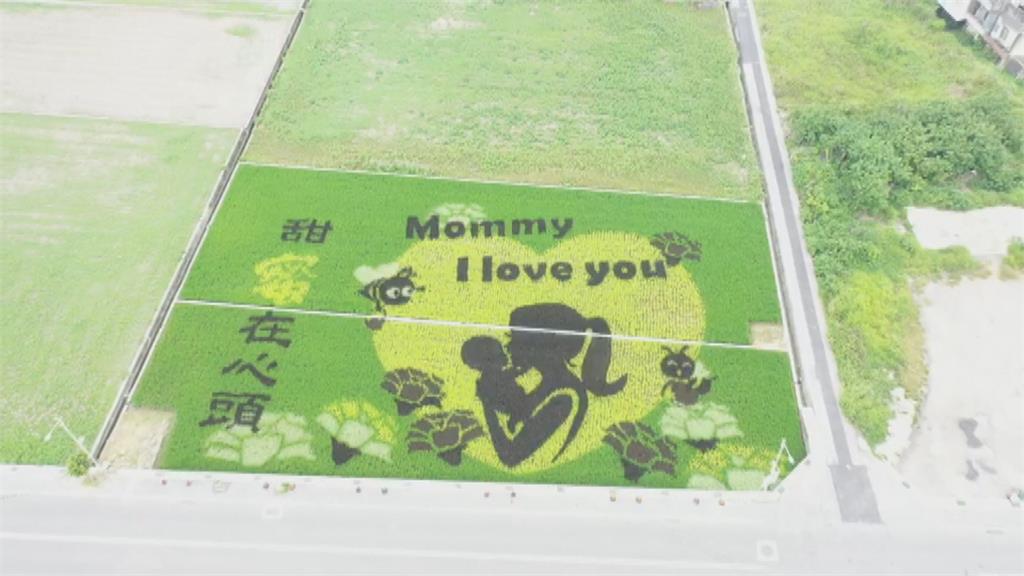 媽咪我愛你！苑裡彩繪稻田 「母抱嬰」洋溢滿滿母愛